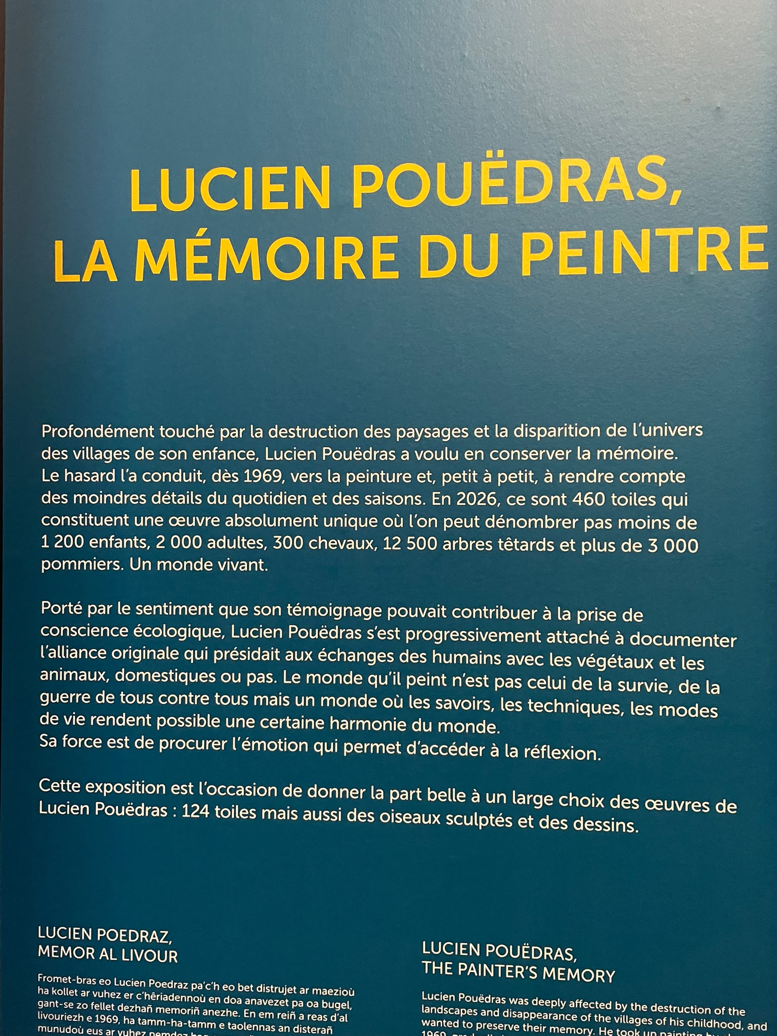Les élèves découvrent les œuvres et le paysage de la Roche Jagu
