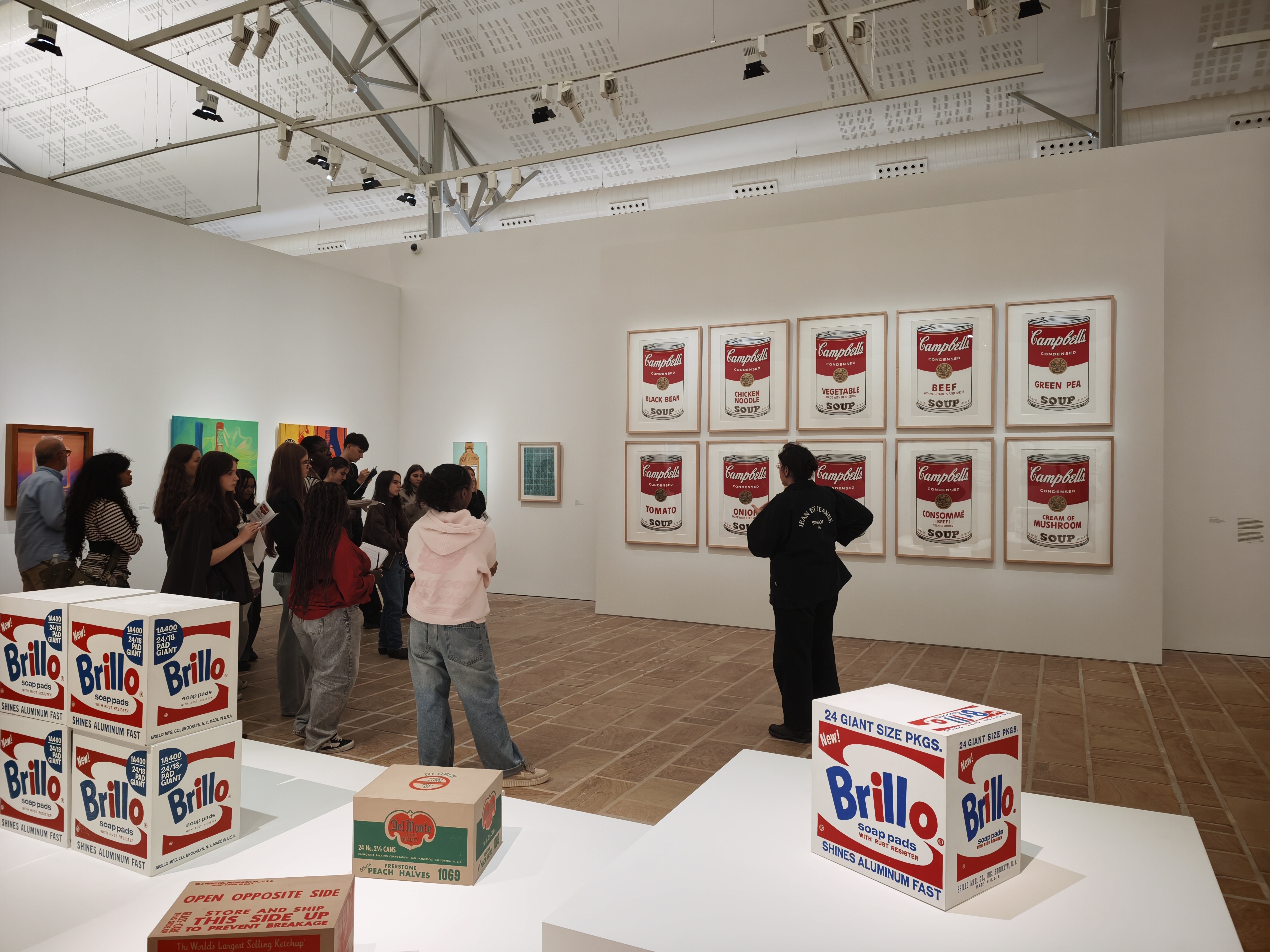 Élèves de spécialité LLCE devant des œuvres de Warhol